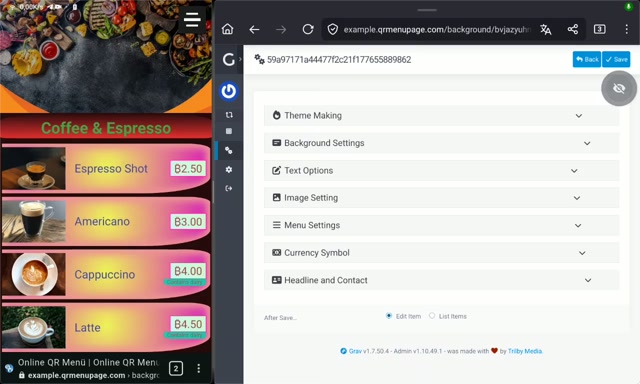 Arka Plan eklentisinin yönetim vidyosu