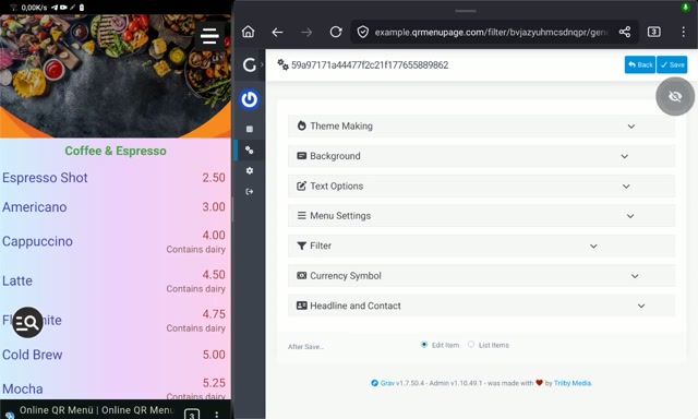 Süzgeç eklentisinin yönetim vidyosu