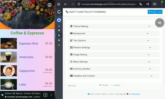 Galeri eklentisinin yönetim vidyosu
