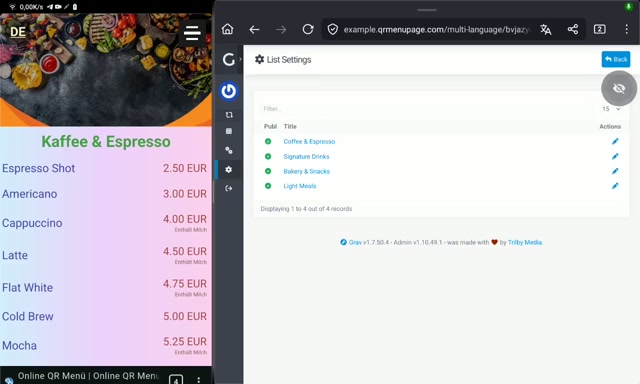 Çoklu Dil eklentisinin yönetim vidyosu
