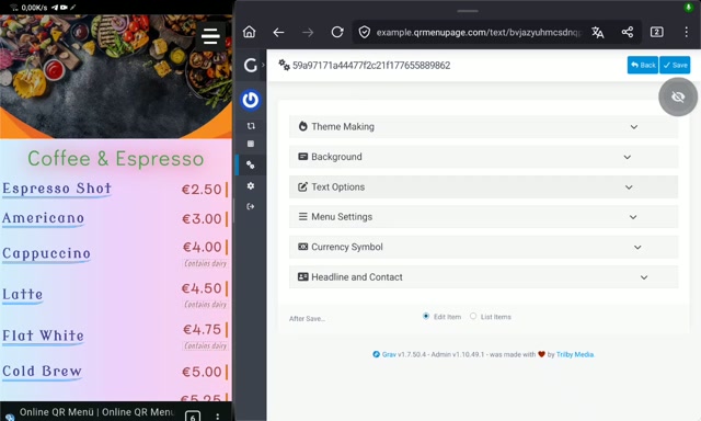Yazı eklentisinin yönetim vidyosu