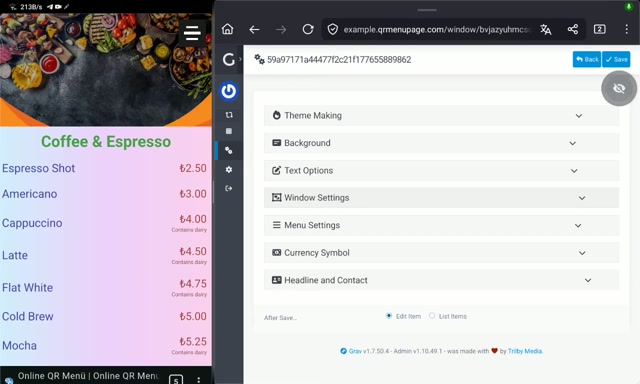 Pencere eklentisinin yönetim vidyosu