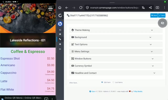 Pencere Tuşları eklentisinin yönetim vidyosu